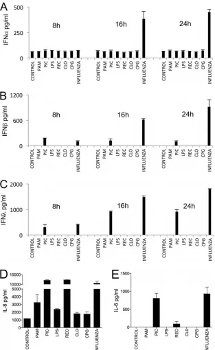 FIG 4 Kinetics of IFN production by human AECs in response to stimulation with PAMPs and inﬂuenza virus