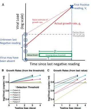FIG 1 Graphic description of experimental data. (A) The true viral load at the last negative reading is unknown