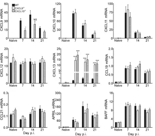 FIG 2 Chemokine and cytokine expression in spinal cords of infected WT, CXCL9denoted as follows: *,�/�, and CXCL10�/� mice