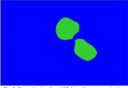 Fig. 5. Contamination plume 183 days after source activation. 