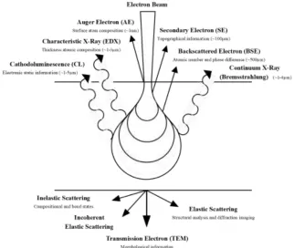 Figure 2.8 Emission of various electrons and electromagnetic waves from the specimen.  