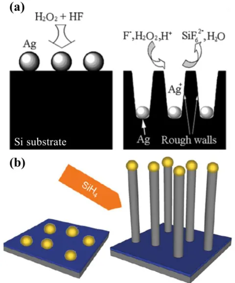 Figure 1-2 Schematic elucidations of the formation mechanism of SiNWs arrays via: (a) 