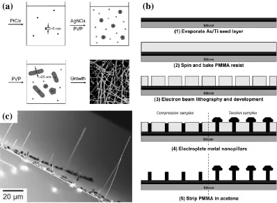 Figure 1-3 (a) Schematic drawing of the process that synthesis silver nanowires via a Pt-