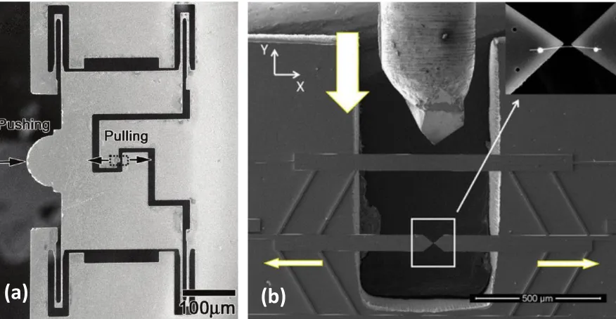Figure 2-2 (a) SEM image of the push-to-pull platform by Hysitron for in-situ TEM testing [120]