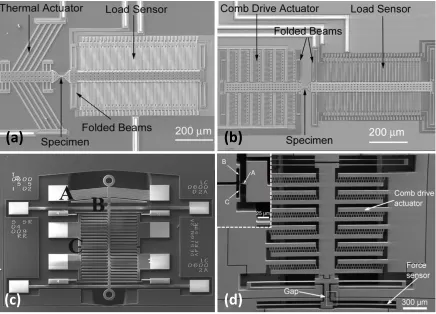 Figure 2-4 A MEMS platform including a thermal actuator (a) or comb drive actuator (b), a capacitive load sensor and a specimen in between (fabricated by Poly-MUMPs) [97]