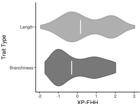 Figure 4 Signals of selection for tassel traits are driven by traits related toquantity and density of branches