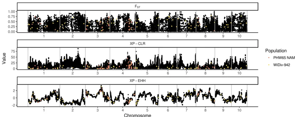 Figure 2 Physical locations and selection statistics for SNPs associated with tassel morphological traits