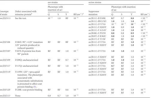 TABLE 1 Phenotypes of missense suppressed am(B) and su/am(B) strainsa