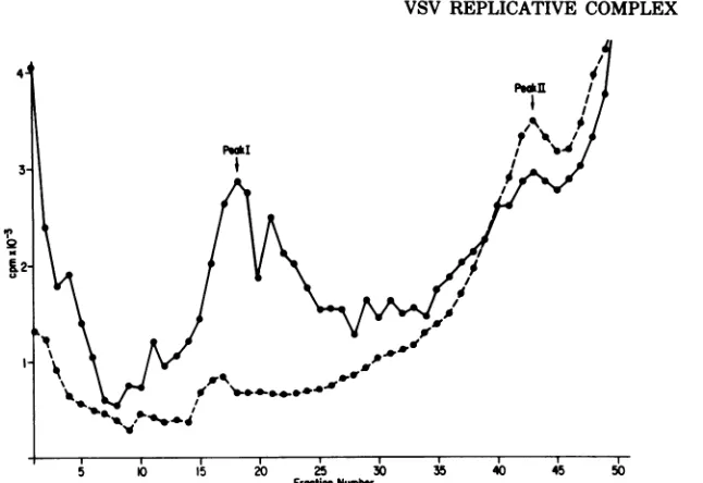 FIG. 3.untreatedwasofconcentrationcytoplasmic15radioactivity 100 to Effect of cycloheximide on the production of replicative RNP complex