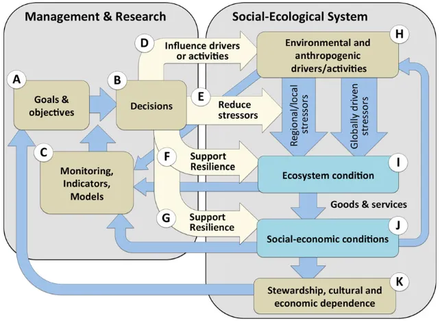 Fig. 2 System diagram outlining the functional linkages within the operational adaptive resilience-based management (ARBM) frame-work, consisting of a management and research component (left box, A–G) and the stressors/activities/drivers and conditions of 