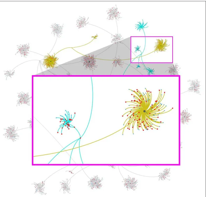 Figure 1: Network diagram with (labels removed) showing clusters of themes, subthemes, and relation- relation-ships