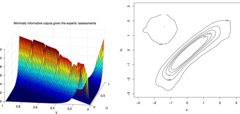 Fig. 3. A plot of the minimum information copula and transformed contour plot for X, Y.