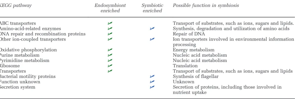 Table 2 Predicted KEGG pathways with significantly different abundance (Po0.05) between the coral holobiont (whole community),symbiotic and endosymbiotic communities
