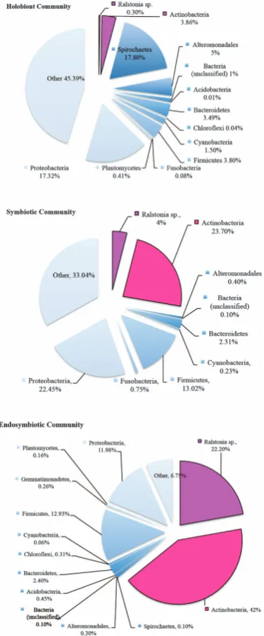 Figure 5The percentage of relative abundance of groupingswithin endosymbiotic core microbiome, endosymbiotic andepisymbiotic core microbiome and holobiont core microbiome.