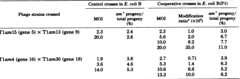 TABLE 1. Genetic recombination accompanying cooperative infection in different regions of the Tl map B(P1)