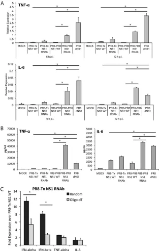FIG 4 Analysis of cytokine expression induced by the recombinant PR8-Tx NS1 WT, PR8-Tx NS1 RNAb, PR8-PR8 NS1 WT, and PR8-PR8 NS1 RNAb virusesin human DCs