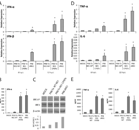 FIG 6 Comparison of the cytokine expression proﬁles induced by PR8-Tx NS1 WT and PR8-Tx NS1 CPSFb in DCs