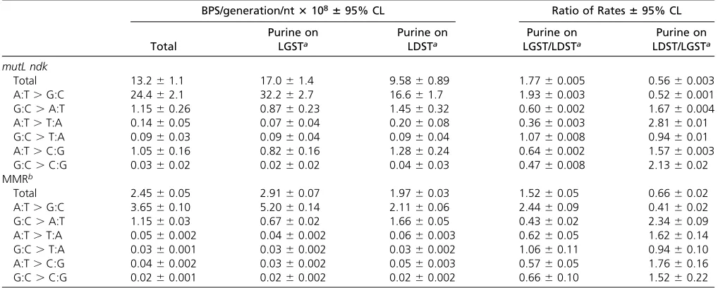Table 3 Rate and strand bias of the mutL ndk mutant strain compared to MMR-defective strains