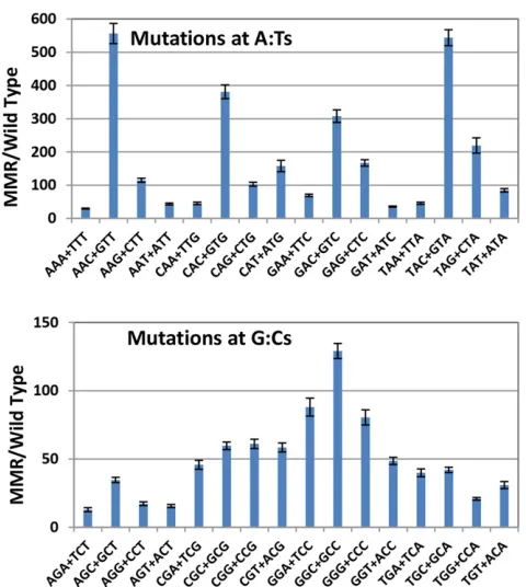 Figure 5 The efto 3the ratio. Thetext. Bars represent the mean ratio of mutation rates at each triplet in MMRdefectiveﬁciency of MMR is inﬂuenced by the local sequence con- vs
