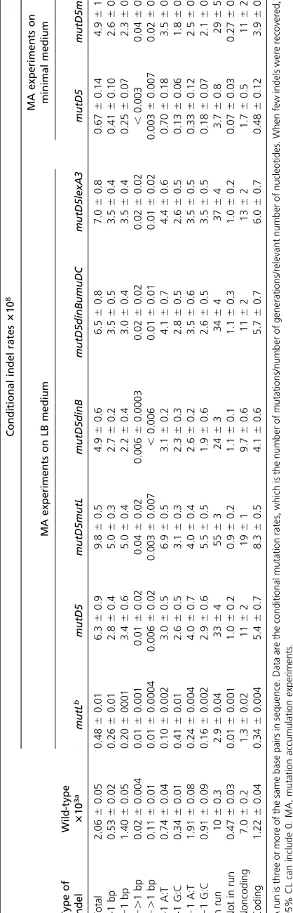 Table 6 Conditional rates of indels accumulated in the MA experiments