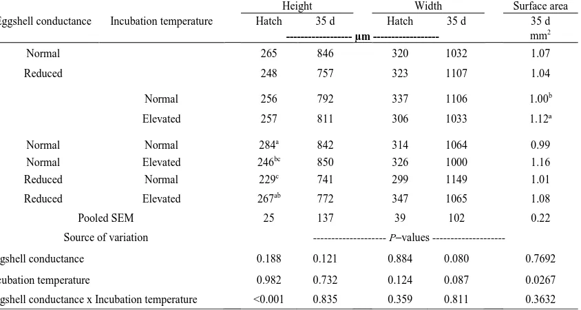 Table II - 5. Effect of eggshell conductance and incubation temperature profiles on footpad papillae height width at hatch and 35 d and surface area at 35 d