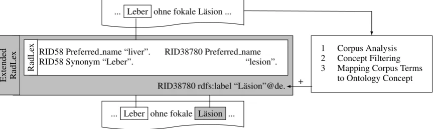Figure 1 illustrates the approach: Based on the corpus information, “L¨asion” is added as German trans-lation to the ontology concept with RID38780