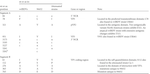 TABLE 1 Nucleotide and amino acid differences between 94432 and very virulent or attenuated IBDV strainsa