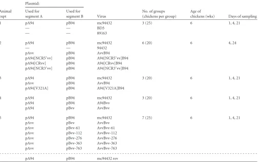 TABLE 2 Rescued viruses and summaries of the protocols of the ﬁve animal experimentsa
