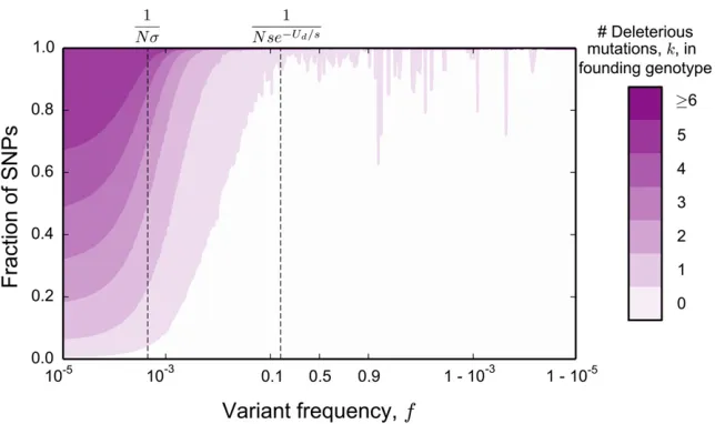 Figure 7 Proportions of polymorphisms at a givensite frequency spectrum comprises lineages thatarose due to neutral mutations in the(with only a few exceptions that arise due to rarethe time they arose
