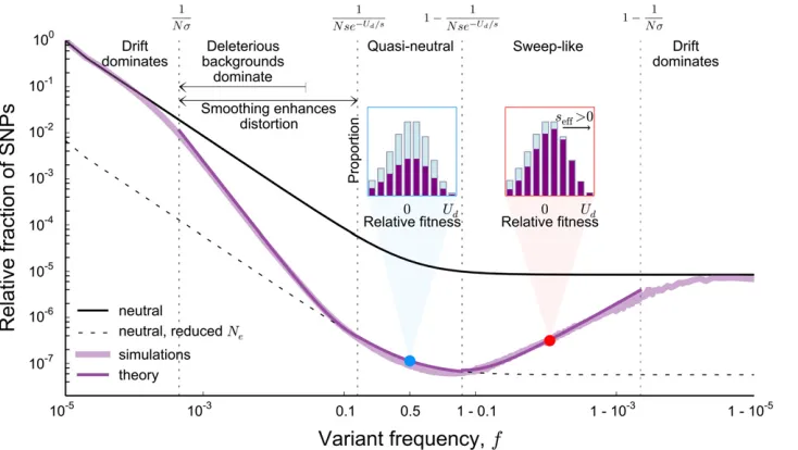 Figure 3 A summary of the dominantneutral mutations originating on deleterious backgrounds