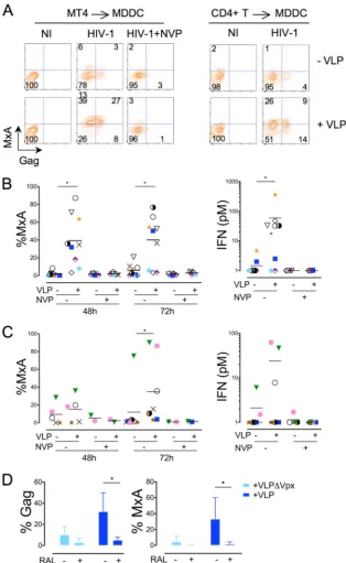 FIG 4 Vpx induces sensing of HIV-1-infected T cells by MDDCs. Effect of VLPs on the sensing of HIV-1-infected lymphocytes by MDDCs