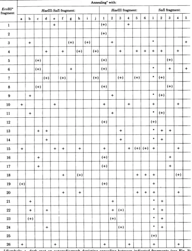 TABLE 3. Summary of data on annealing EcoRI* fragments with HaeIII-SalI, HaeIII, or SailI fragments