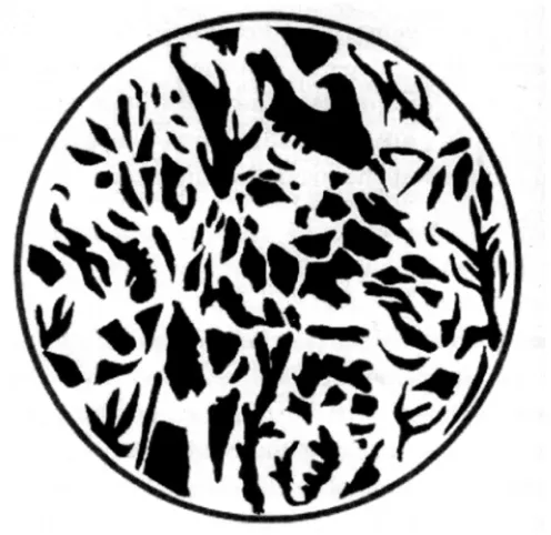 Figure 1: “More to seeing than meets the eye” - the non-sensory factor in 
