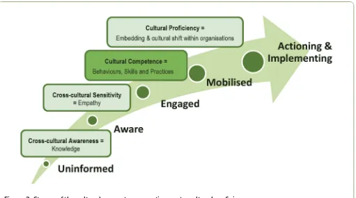 Figure 2: Stages of the cultural competence continuum to cultural proficiency