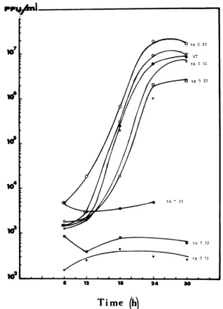 FIG. 6.explainedaftertypewasandwere Production of infectious virus in cells infected by the wild type and ts mutants of rabies virus at 33 39.6°C