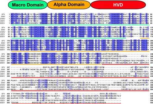 FIG 5 Domain structure and sequence alignment of nsP3 proteins of representative members of the New World and Old World alphaviruses