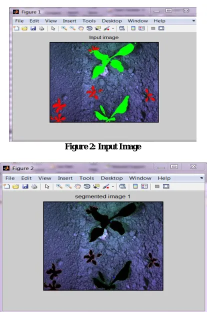 Figure 2: Input Image 