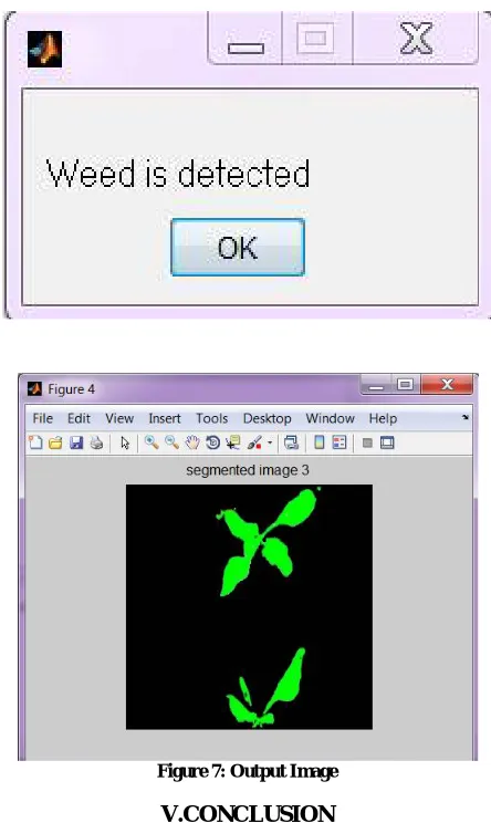 Figure 7: Output Image  