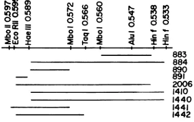 FIG. 1.Regions0.535segmentsrepresentedtranscripts.tothe code Diagram ofthe SV40 chromosome relating map position of viable deletion mutants (0.60 to map unit) to the location ofthe two known early The portions of the transcripts believed for earlyproteins 