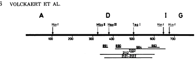 FIG.1.linehorizontalthatline; Schematic representation of the location of deletions in the 0.53-0.60 region