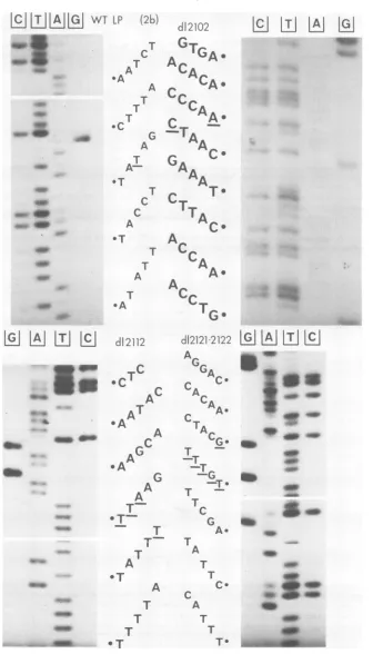 FIG. 2b