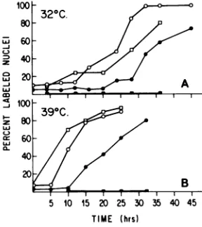 FIG. 2.centrationlargrowingrestedrestedH6-15pattern Flow microfluorometric analysis of cellu- DNA distribution of ts H6-15 cells at 39°C