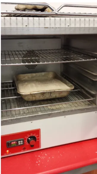 Figure 4.8: The raw sand material being oven dried at 105 ◦C