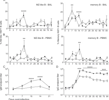 FIG 3 B cell proliferation and IgM/IgG production following infection with SVV�ORF61 is reduced