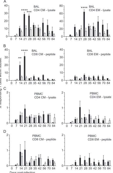 FIG 5 Frequency of responding SVV-speciﬁc T cells following infection withSVV�ORF61 is reduced in the lungs