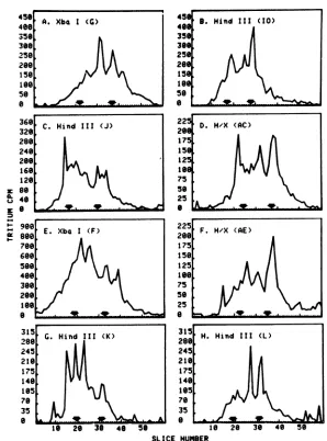 FIG. 3.panelfromregionsSpecificleftlabeling(M) Size distribution of HSV-1 mRNA hybridized to restriction fragments of viral DNA
