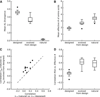 Figure 5 Comparison between designed se-man correlations ofman correlations between site entropy andRSA of designed, evolved from design, andnatural sequences
