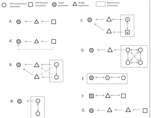 Figure 1 Definition of different target-bridge-maintenance systems (adapted from Haydon et al