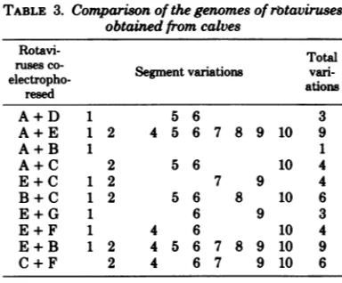 TABLE 3. Comparison of the genomes ofrwtavirusesobtained from calves