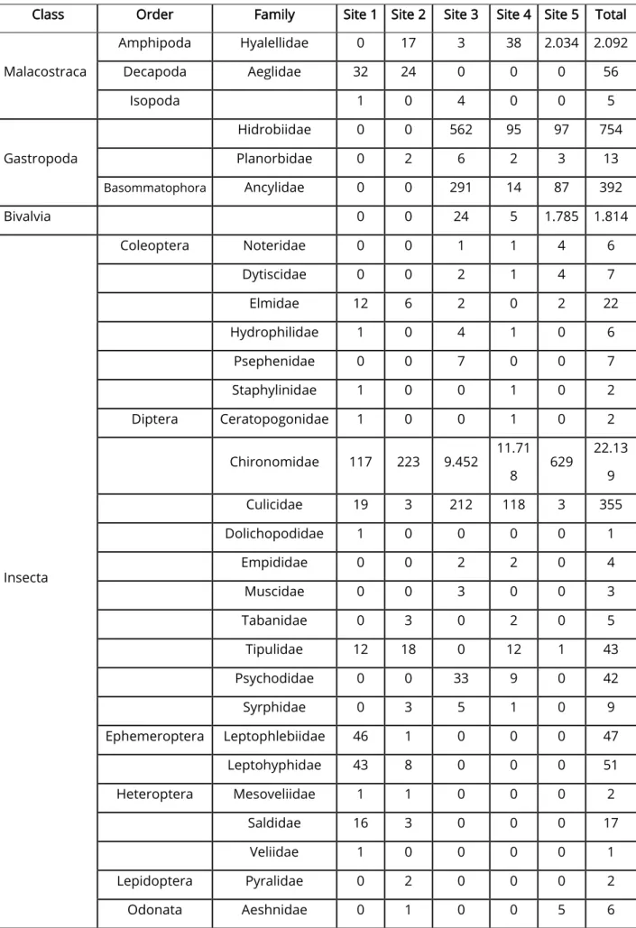 Table 4 - Total benthic macroinvertebrates identified in the surveyed stream. 